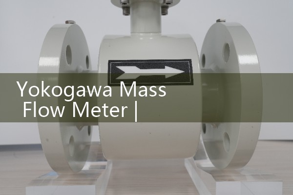 Yokogawa Mass Flow Meter