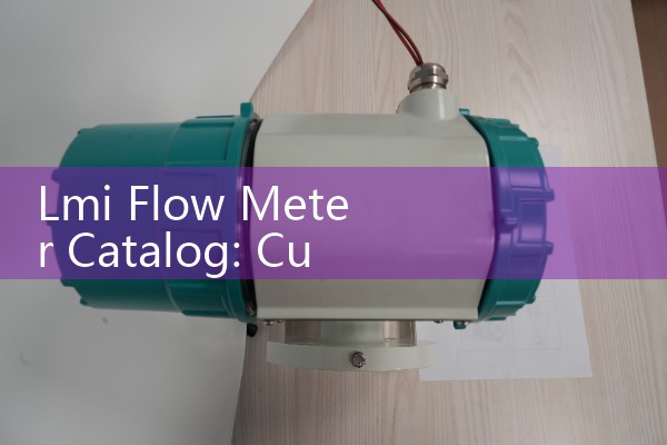 Lmi Flow Meter Catalog: Custom Volumetric Sensors for Smart Chemical Dosing Pump Networks