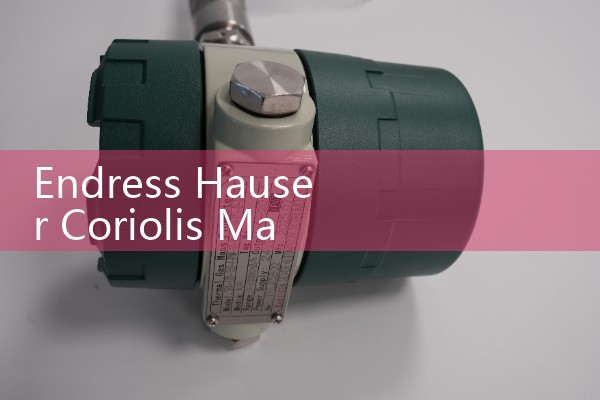 Endress Hauser Coriolis Mass Flow Meter: Selection criteria for mass flow instrumentation.