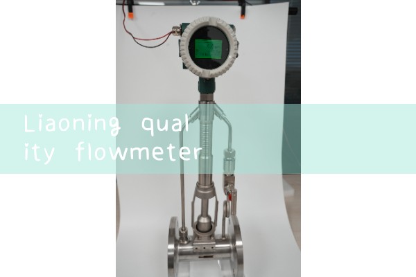 Liaoning quality flowmeter manufacturer in stock