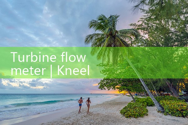 turbine flow meter|thermal flow meter