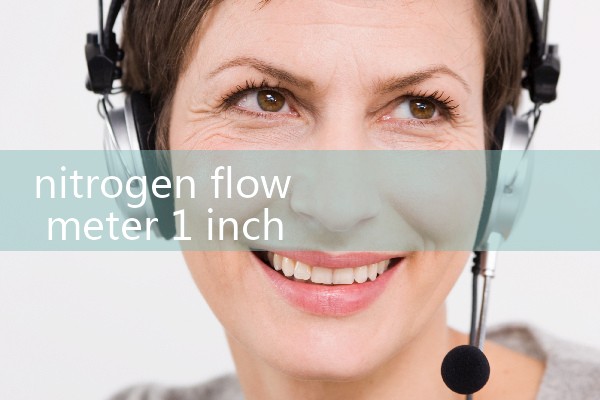 nitrogen flow meter 1 inch|flow meter distributor