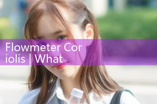 flowmeter coriolis|thermal flow meter