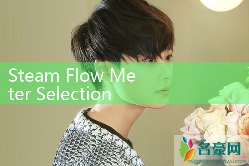 steam flow meter selection guide|balo meter