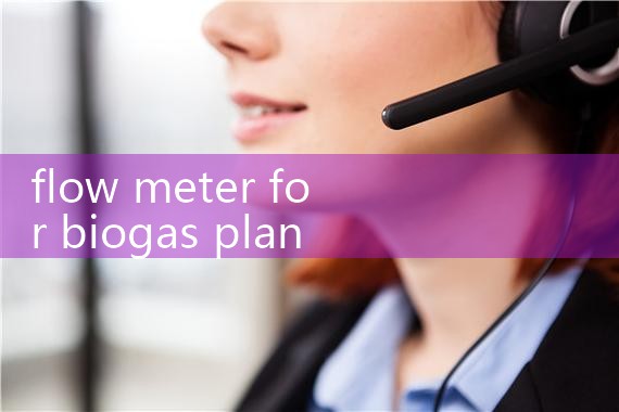 flow meter for biogas plant|flow meter distributor