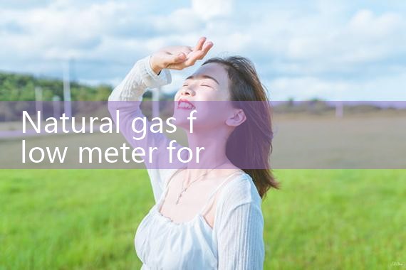 natural gas flow meter for fiscal metering|balo meter