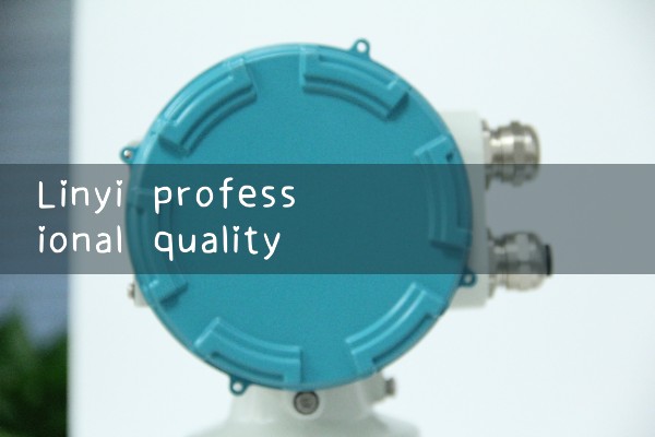 Linyi professional quality flowmeter manufacturer
