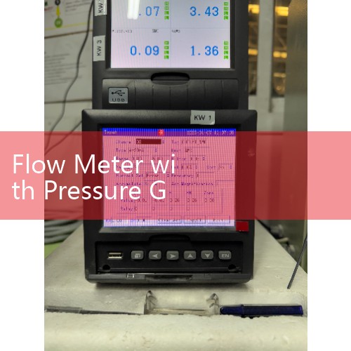 Flow Meter with Pressure Gauge Combos: Dual-Parameter Monitoring Skids for Hydraulic Diagnostics
