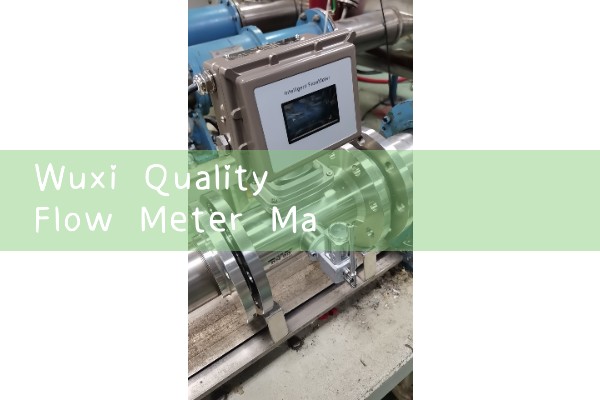 Wuxi Quality Flow Meter Manufacturer