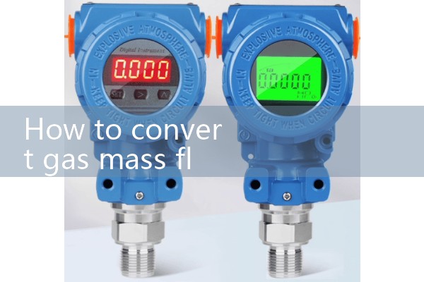 Gas mass flowmeter manufacturer
