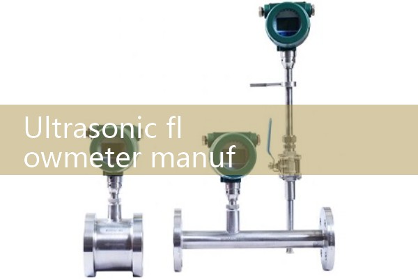 Ultrasonic flowmeter manufacturer