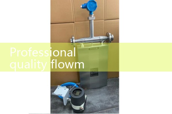 Professional quality flowmeter manufacturer