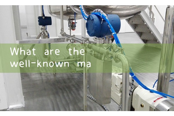 Wholesale manufacturer of mechanical mass flow meters