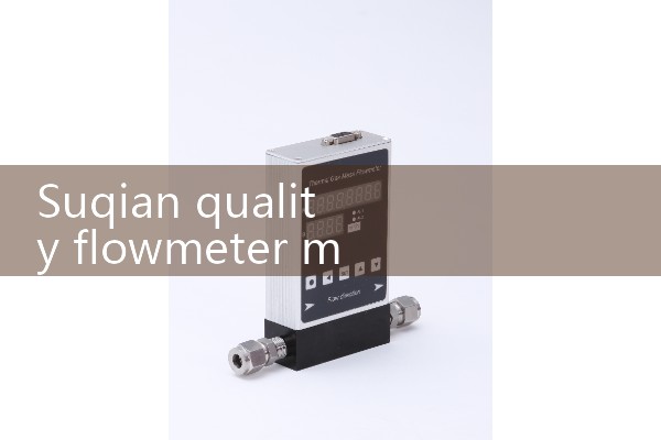 Suqian quality flowmeter manufacturer wholesale