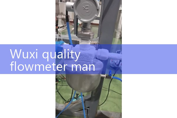 Wuxi quality flowmeter manufacturer in stock