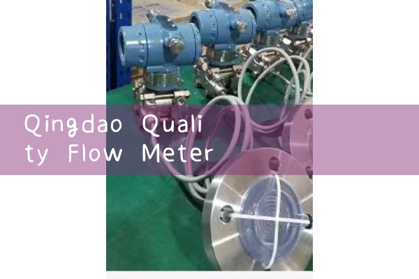 Quotation from Qingdao Quality Flow Meter Manufacturer
