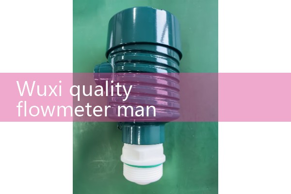 Directly supplied by Wuxi quality flowmeter manufacturer