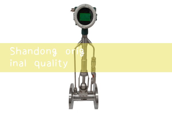 Shandong original quality flowmeter manufacturer
