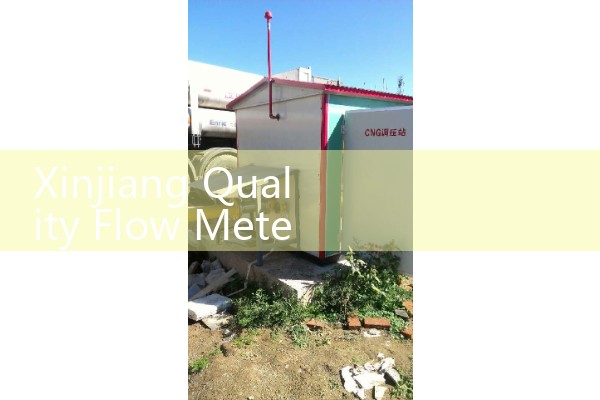 Ranking of Quality Flow Meter Manufacturers in Xinjiang