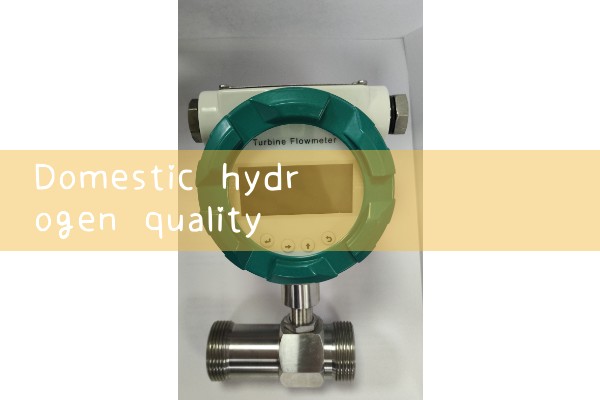 Domestic hydrogen mass flowmeter manufacturer